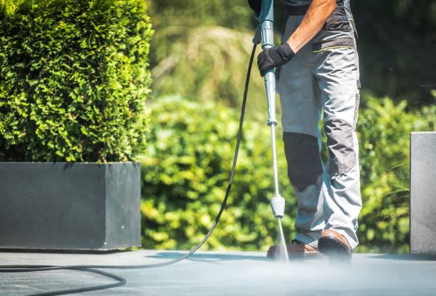Best Sidewalk and Walkway Cleaning  in James City, NC